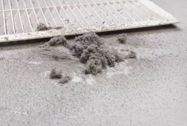 Best Air Duct Cleaning Near Me  in La Grange, IL